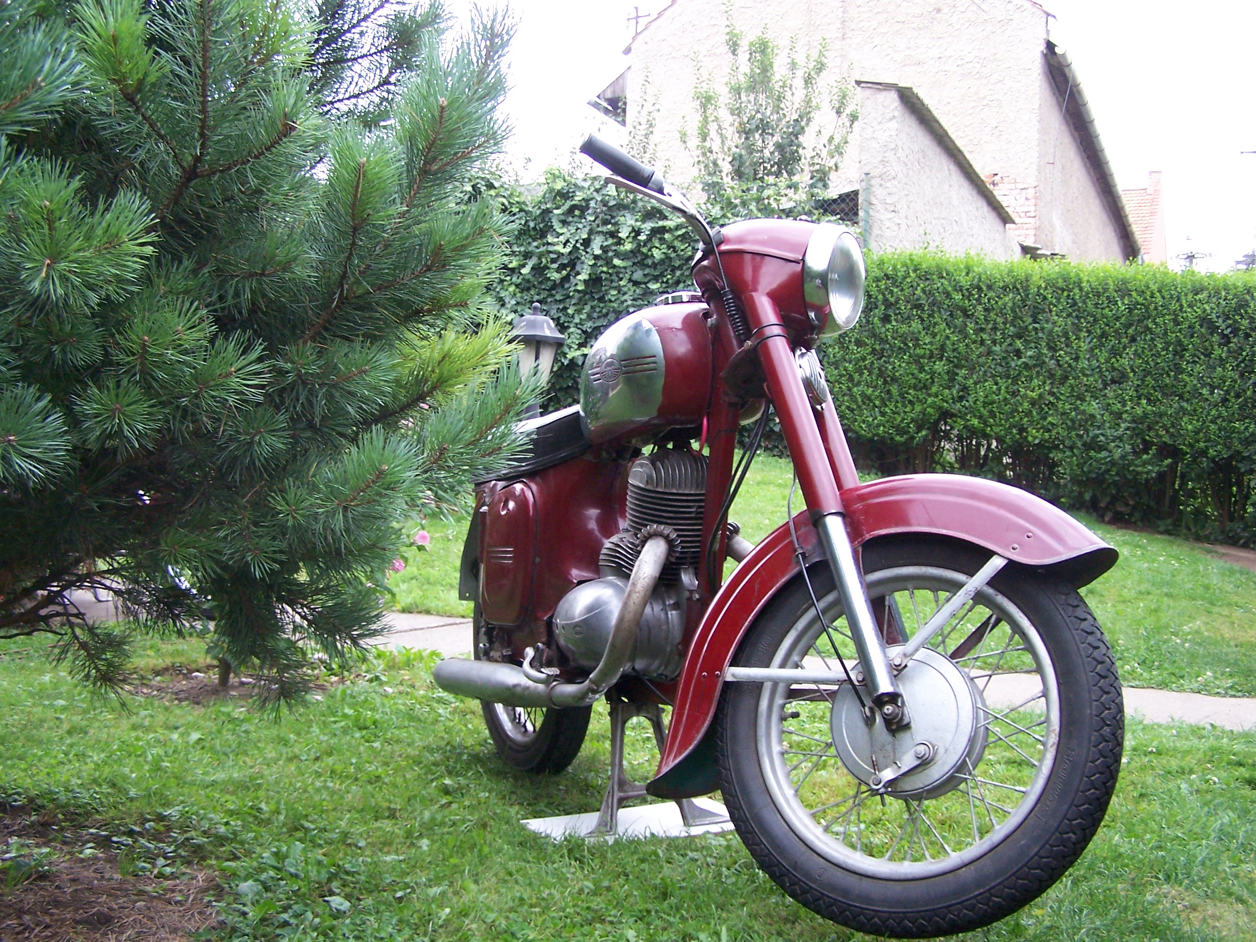 100_6597.JPG